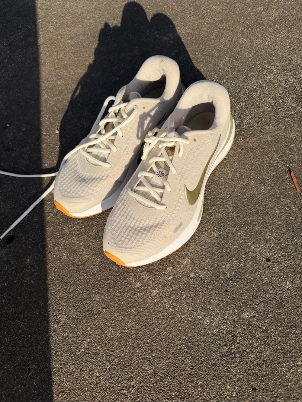 Nike Journey Running Shoes